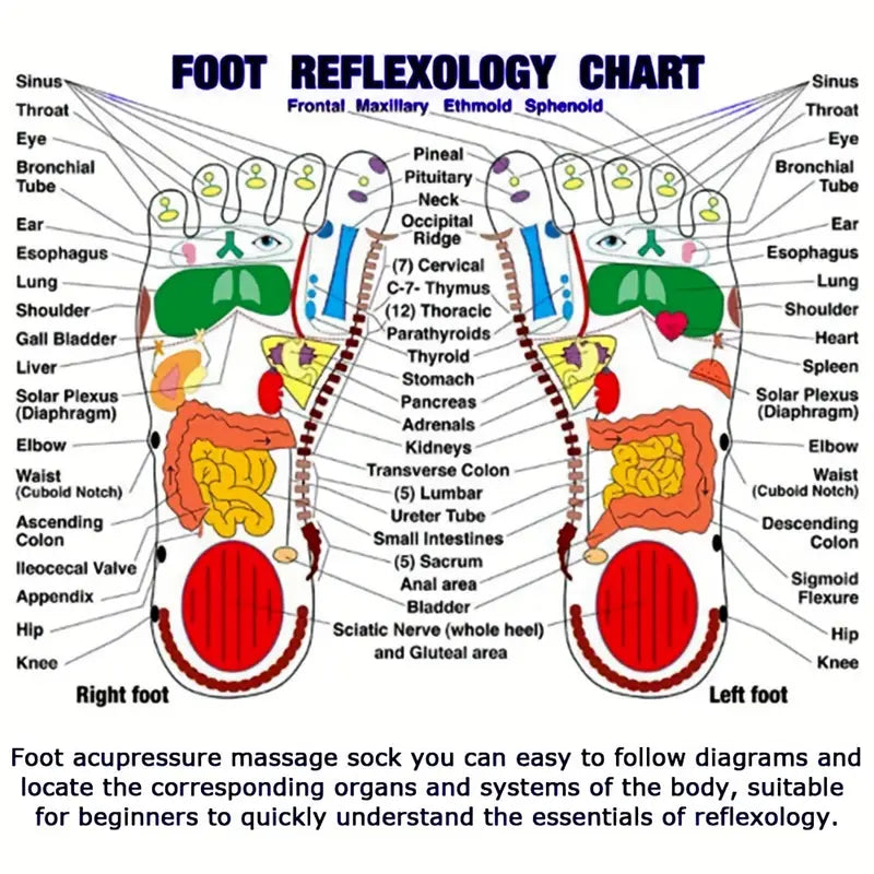 The Original Foot Reflexology Socks with Massage Stick